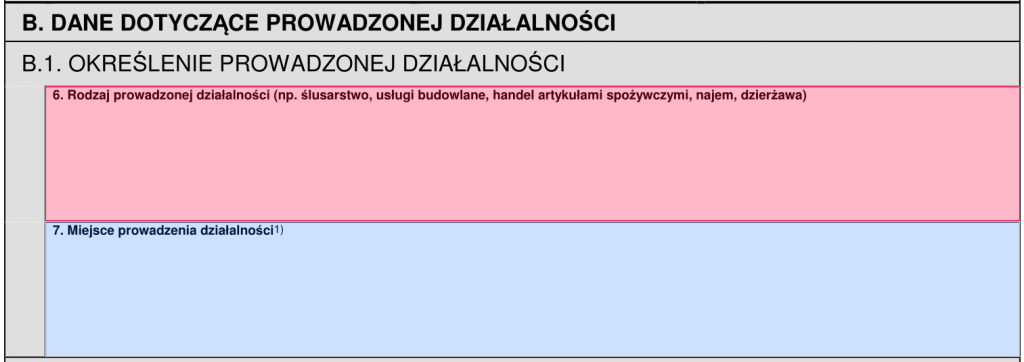 Rodzaj prowadzonej działalności